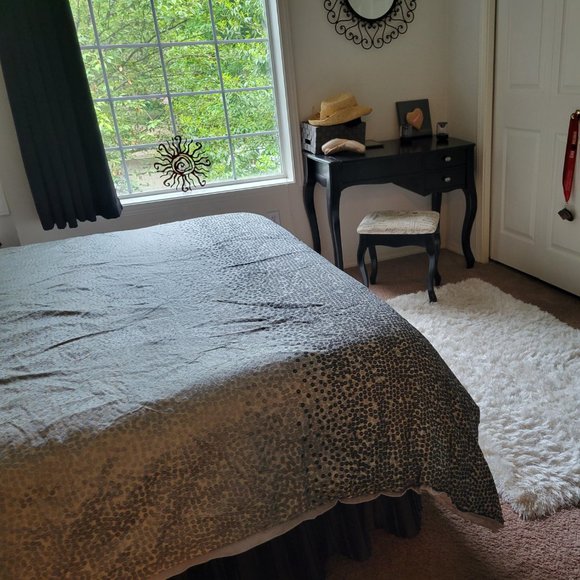 Comforter, shams, and rug - Picture 5 of 6